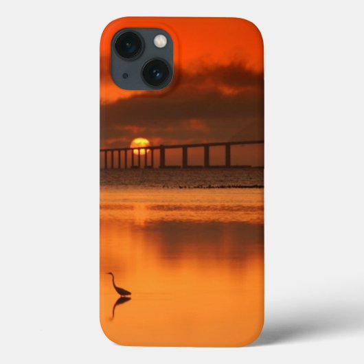 Skyway Bridge Case-Mate iPhone Hülle (Rückseite)