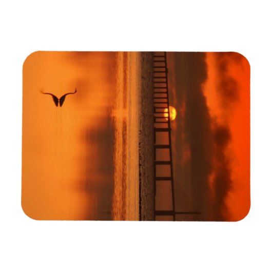 Skyway Bridge Magnet (Horizontal)