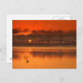 Skyway Bridge Postkarte (Vorne/Hinten)