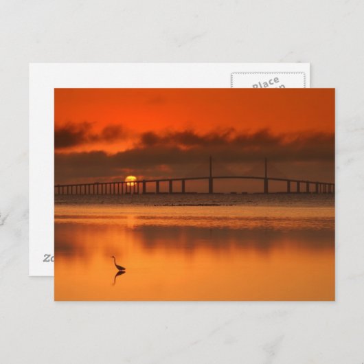 Skyway Bridge Postkarte (Vorne/Hinten)