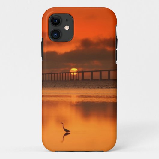 Skyway Brücke Case-Mate iPhone Hülle (Rückseite)