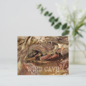 Skyway Lake, Wind Cave National Park Postkarte (Stehend Vorderseite)