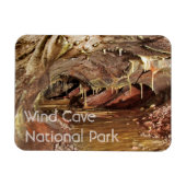 Skyway Lake, Wind Cave National Park, SD Magnet (Horizontal)