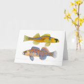 Slackwater u. Orange-Throated Darters Karte (Gelbe Blume)
