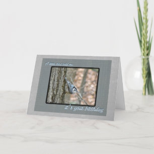 Slate Gray Nuthatch Birthday Songbird Karte