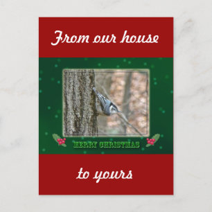 Slate Gray Nuthatch Christmas Songbird Weihnachten