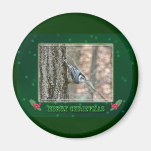 Slate Gray Nuthatch Christmas Songbird Weihnachten Magnet
