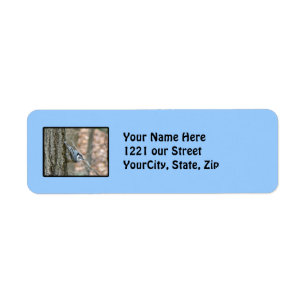 Slate Gray Nuthatch Songbird Address Label