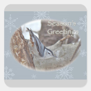 Slate Gray Nuthatch Songbird Frohen Festtage Quadratischer Aufkleber