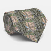 Slate Gray Nuthatch Songbird Items Krawatte (Gerollt)