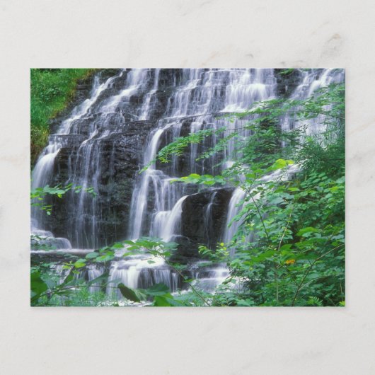 Slatestone Brook Falls Sunderland Postkarte (Vorderseite)
