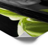 Slay it poster (Ecke)