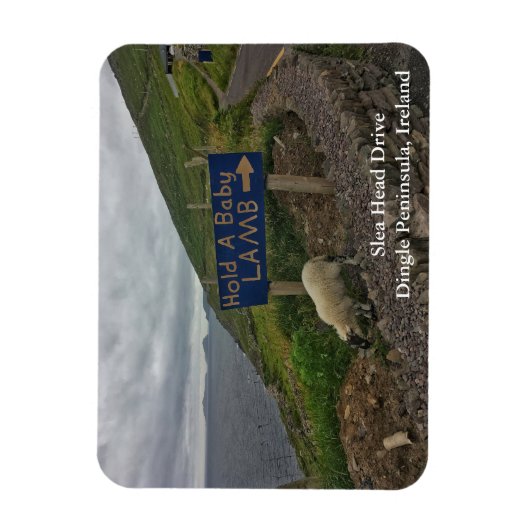 Slea Head Drive Dingle Halbinsel, Irland Magnet (Vertikal)