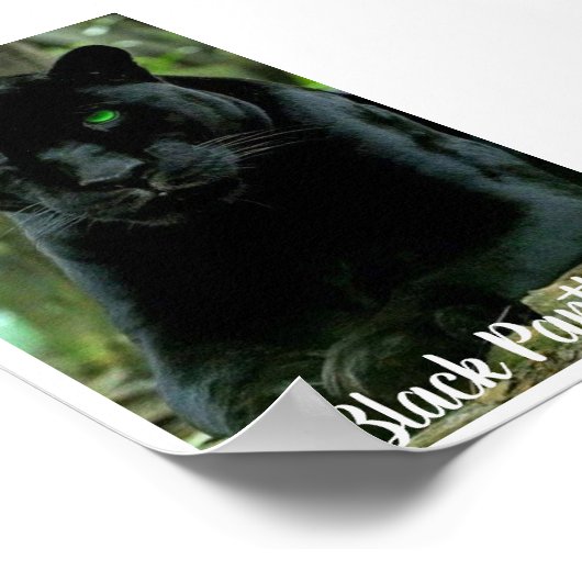 Sleek Black Panther Cat mit grünen Augen Poster (Ecke)