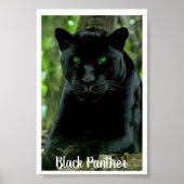 Sleek Black Panther Cat mit grünen Augen Poster (Vorne)