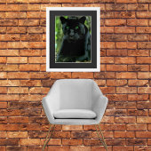 Sleek Black Panther Chat mit Green Eyes Poster