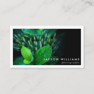 Sleek Bortered Fotograf, Foto Business Card Visitenkarte