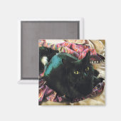 Sleek Kitty Magnet (Vorderseite/Rückseite)