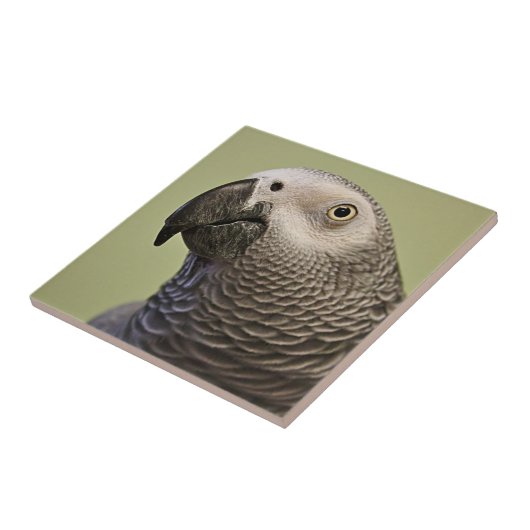 Sleek-Kongo Fliese (Seite)