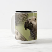 Sleek-Kongo Zweifarbige Tasse (Vorderseite Links)