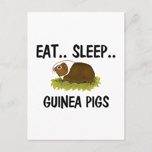 Sleep GUINEA SCHEINEN essen Postkarte (Vorderseite)