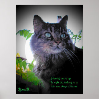 Sleep ruft mich an poster