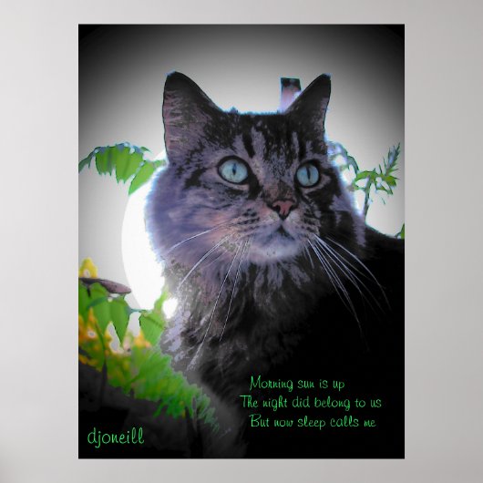 Sleep ruft mich an poster (Vorne)