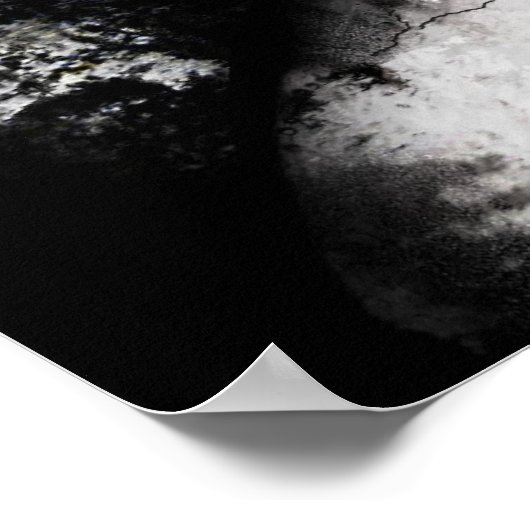 Sleeper Poster (Ecke)