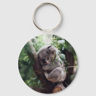 Sleeping Baby Koala Schlüsselanhänger