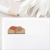 SLEEPING BEAUTY COCKER (Insitu)