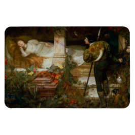 Sleeping Beauty (Enchanting Fairy Tale Scene) Magnet