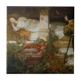 Sleeping Beauty (Sweet Princess From Fairy Tale) Fliese
