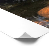 sleeping Buddha on water Poster (Ecke)