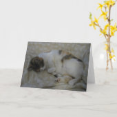 Sleeping Cat Blank Greeting Card Karte (Gelbe Blume)