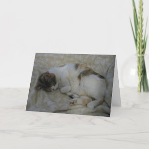 Sleeping Cat Blank Greeting Card Karte