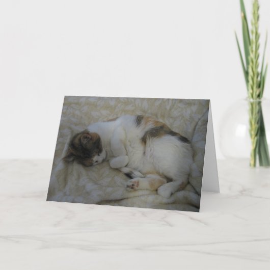 Sleeping Cat Blank Greeting Card Karte (Vorderseite)
