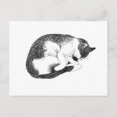 Sleeping Cat – Gentle Reminder to Rest Postkarte (Vorderseite)