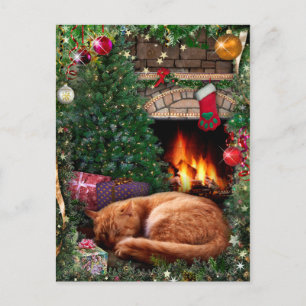 Sleeping Cat next to the Fireplace on Christmas Feiertagspostkarte