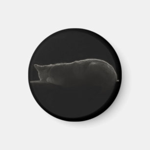 Sleeping Cat Silhouette Photograph Magnet