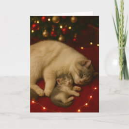 Sleeping Cats Christmas Folded Greeting Karte