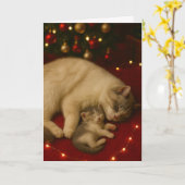 Sleeping Cats Christmas Folded Greeting Karte (Gelbe Blume)