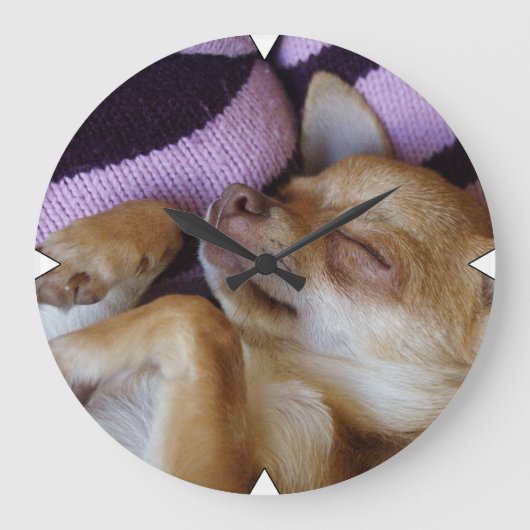 Sleeping Chihuahua Große Wanduhr (Vorderseite)
