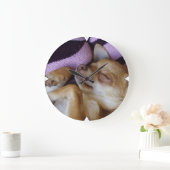 Sleeping Chihuahua Große Wanduhr (Zuhause)