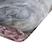 Sleeping elephant seal schneidebrett (Ecke)