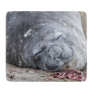 Sleeping elephant seal schneidebrett