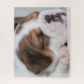 Sleeping Englisch Bulldog Puppy Puzzle (Vertikal)