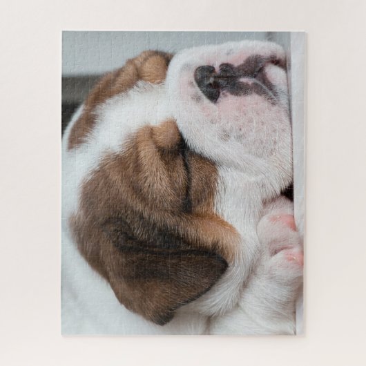 Sleeping Englisch Bulldog Puppy Puzzle (Vertikal)