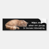 Sleeping Ginger Cat Funny Weckte Me Quote Autoaufkleber (Vorne)