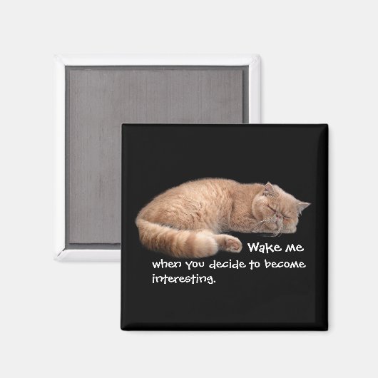 Sleeping Ginger Cat Funny Weckte Me Quote Magnet (Vorderseite/Rückseite)