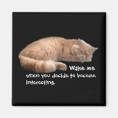 Sleeping Ginger Cat Funny Weckte Me Quote Magnet (Vorne)